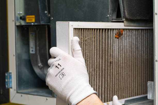 Best Air Vent Cleaning Services  in Moore Haven, FL